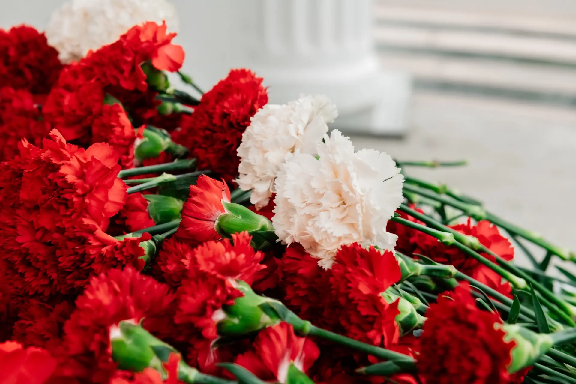 🕊️ Есть память, которой не будет конца 🌹