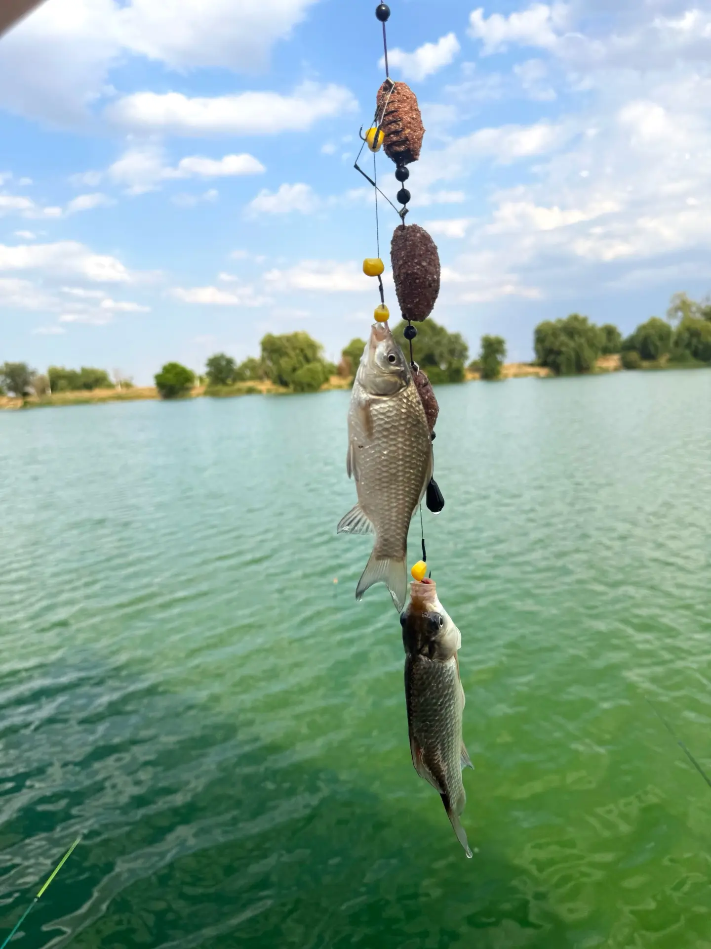 Здесь РЫБА 🎣 есть😅🤣
https://vk.ru/rybalka_pyatihatka_crimea

Это если вдруг вы в нас сомневались�