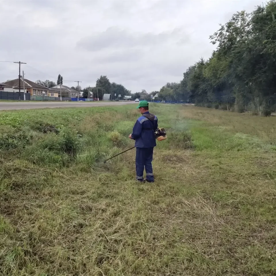 🌼 В Гагаринском районе продолжаются плановые работы по благоустройству