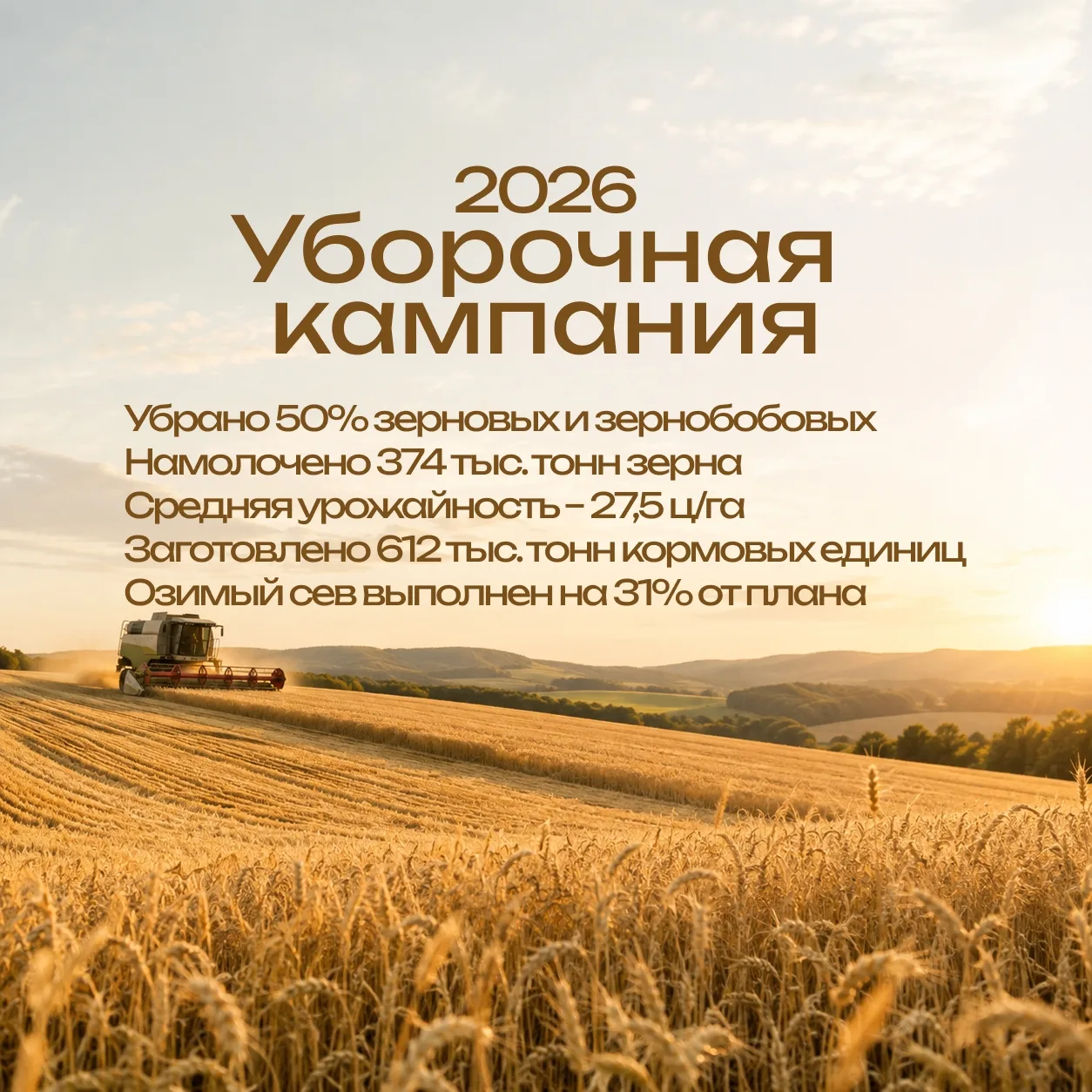 🌾 В Удмуртии убрали половину зерновых и зернобобовых культур. Намолочено 374 тыс. тонн...