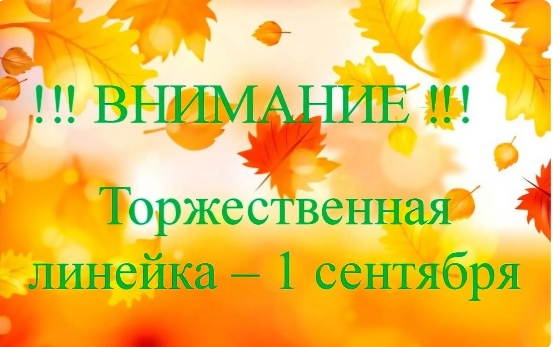 Торжественная линейка, посвященная Дню знаний состоится 1 сентября: