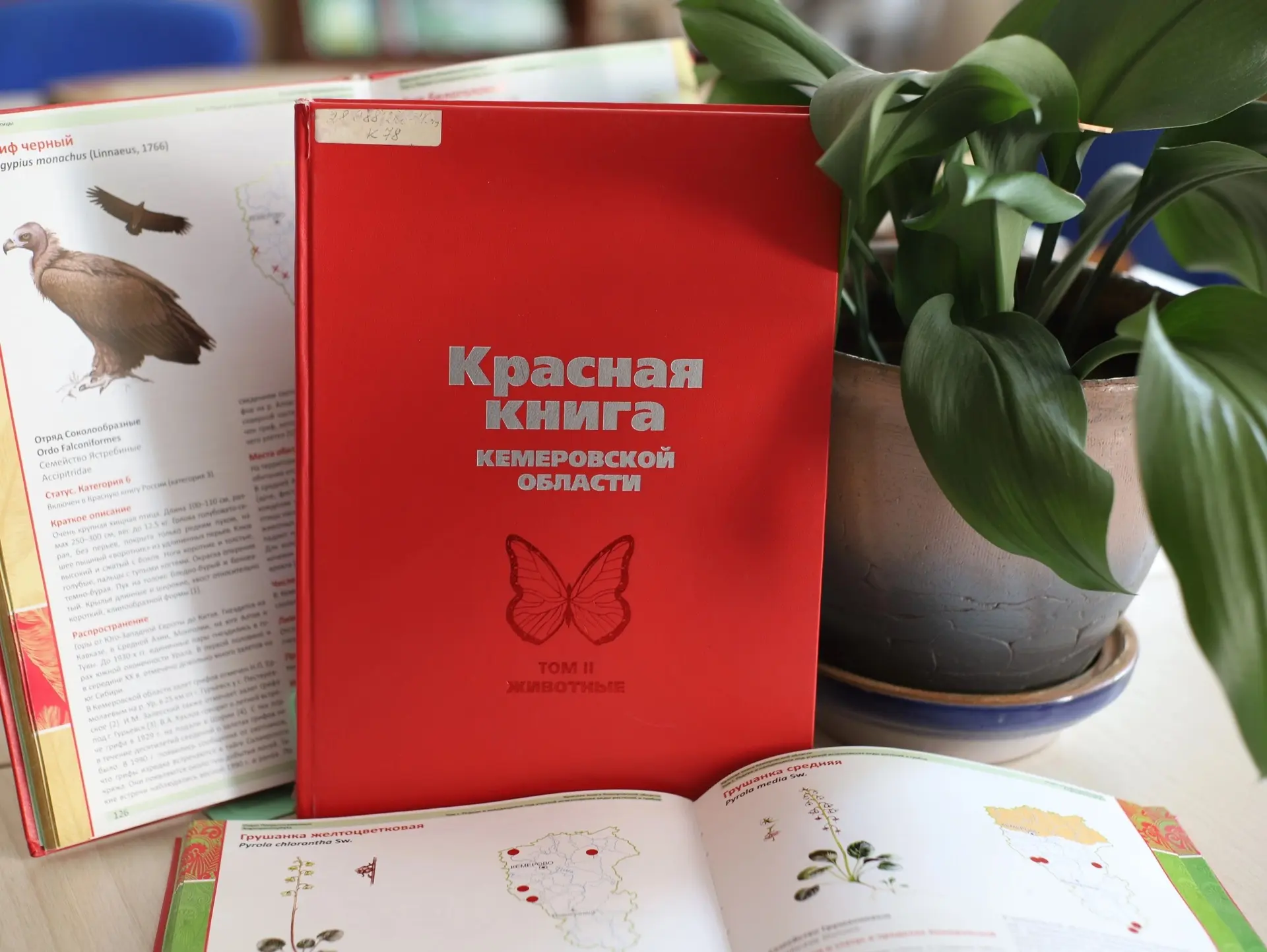 Лето, каникулы – где же провести время активно, с пользой и без особых затрат? 🧐