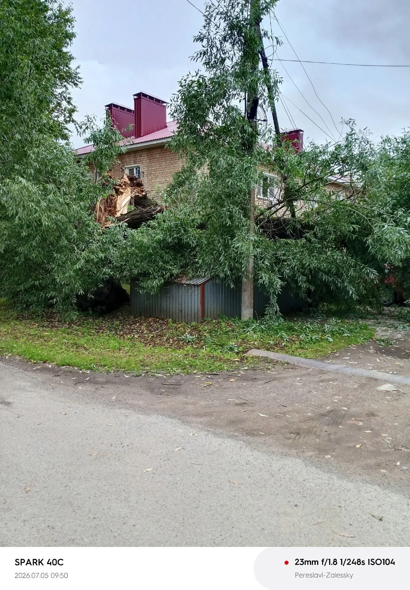 Дерево упало во дворе дома 86 по улице Кардовского повреждения получили две машины и ЛЭП