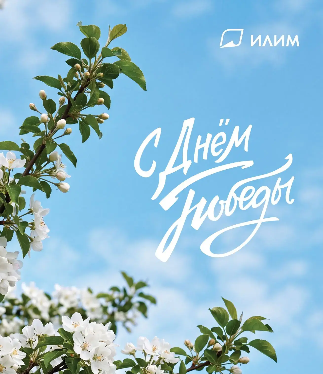 Дорогие друзья!