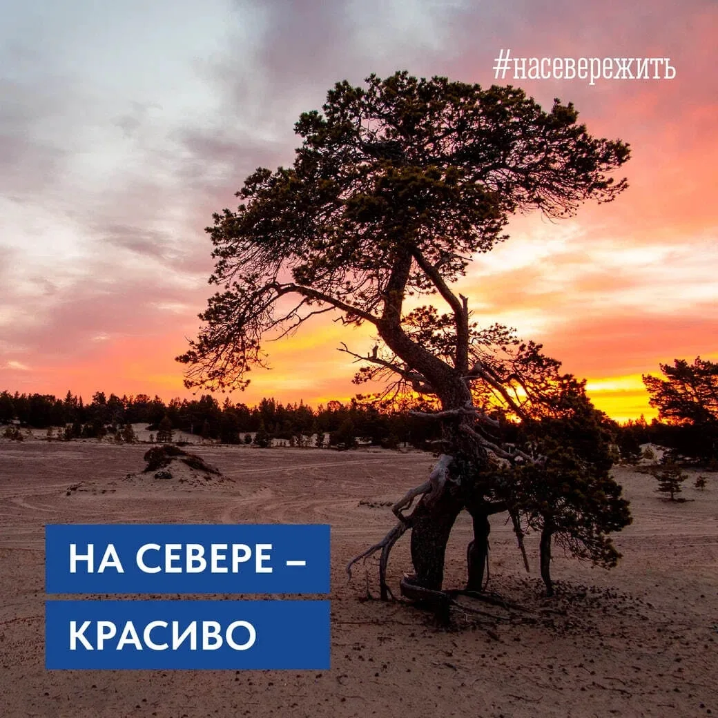 🔥 В Мурманской области продолжается пора огненных закатов

Угадаете, где было сделано фото?
