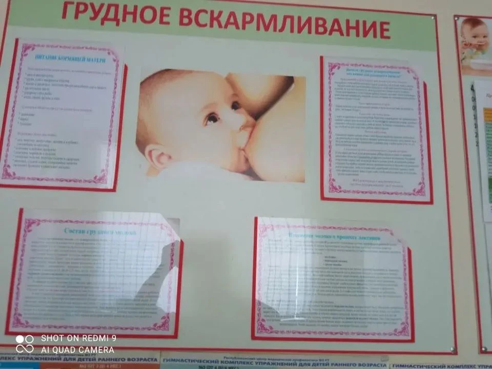 👶 В Нурлатской ЦРБ прошла лекция о грудном вскармливании для беременных и молодых мам

Специалисты 