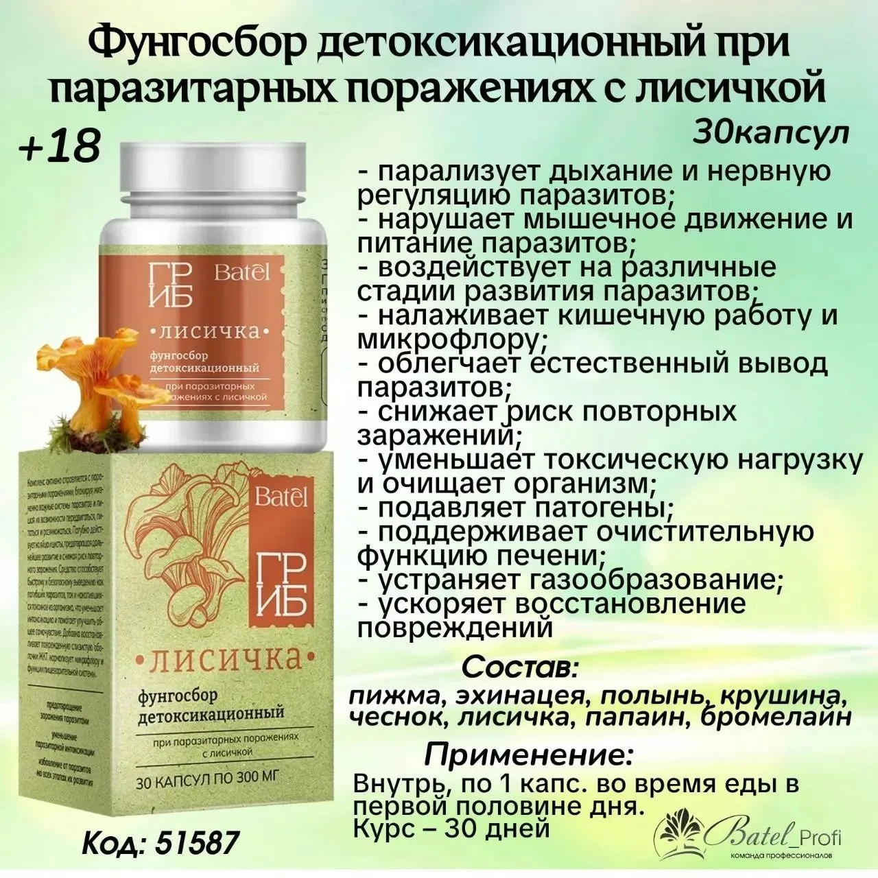 Лисичка!