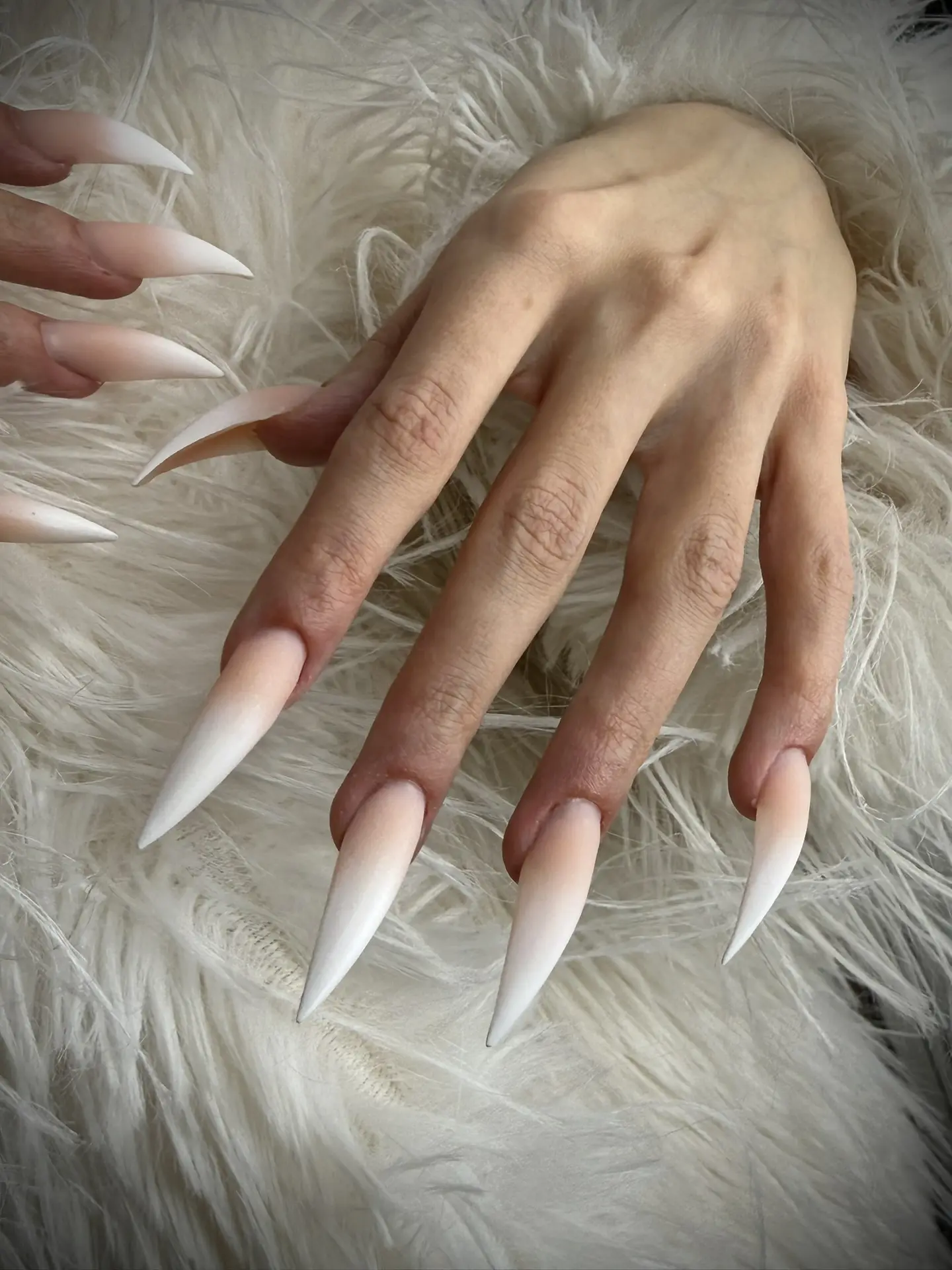 Animal claws 🤍👌