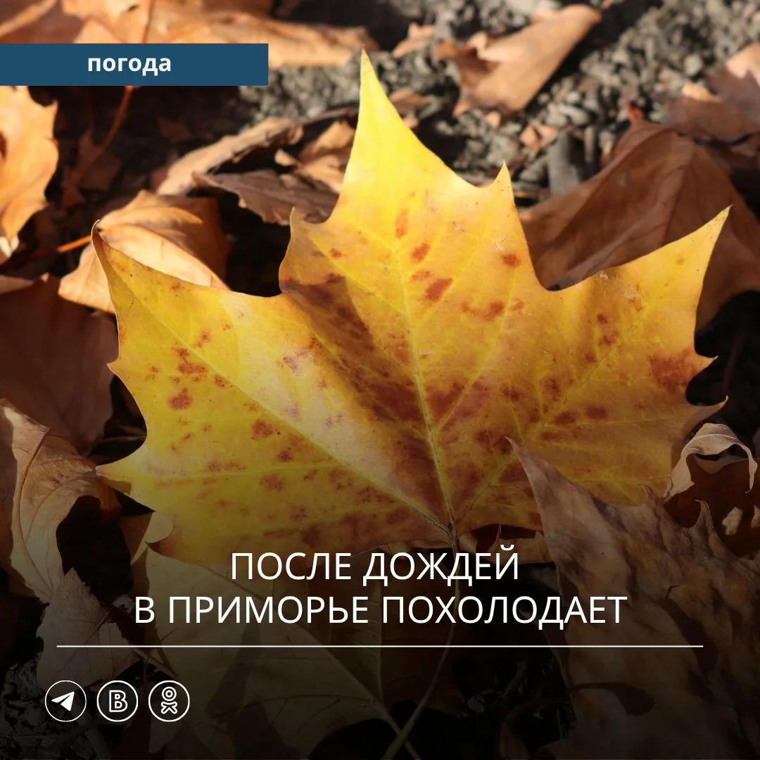 🌧️ В прошедшие сутки Приморский край находился под воздействием циклона, смещавшегося ...
