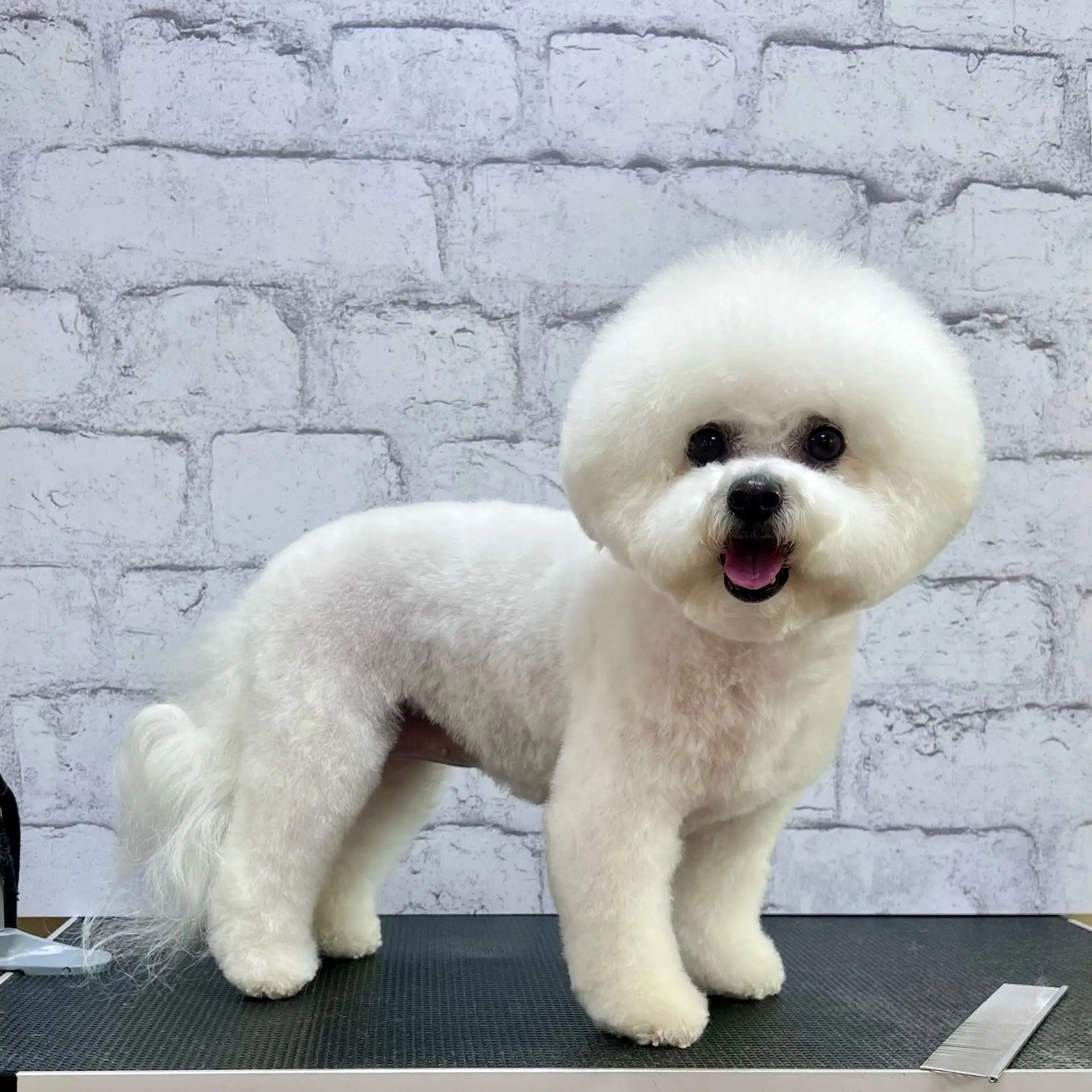 Малышка Гуччи желает всем прекрасного настроения 😍