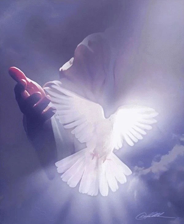 Украшай свою душу – и красоту ее возлюбит Бог...✨

🕊️свт. Иоанн Златоуст🌹