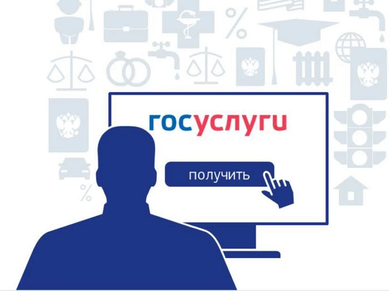 Предоставление государственных услуг ТОГАДН по Амурской области