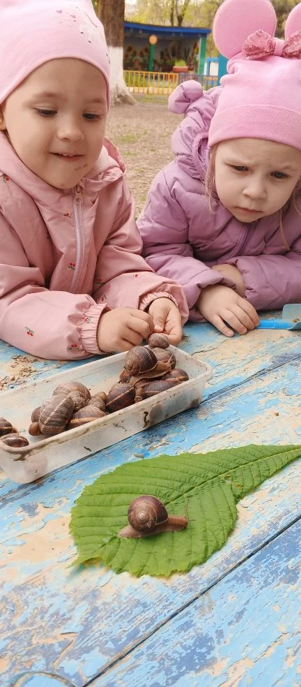 Наблюдение за живой природой: сегодня гости🐌 нашего цветника показали как они любят весеннее солныш