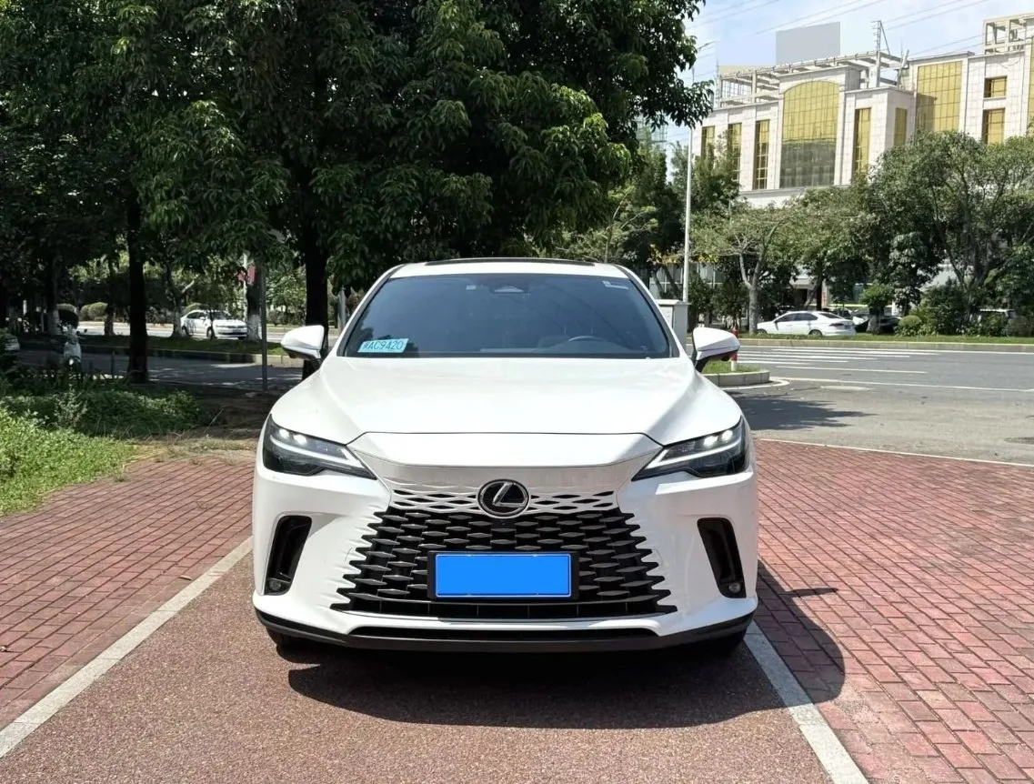 🚗 Lexus RX300 2.0T AWD Junxiang, 2024 г.