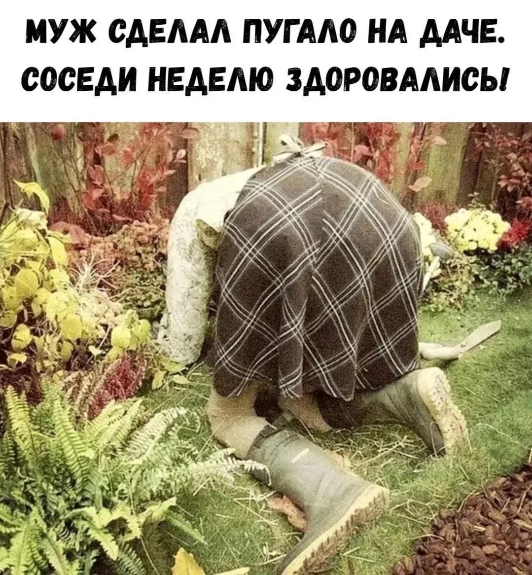Подпишись 👉️ ВРЕДИНКА
