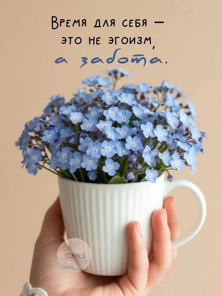 🥰 Оставляйте реакции, если понравилась открытка и делитесь с близкими ❤️

Лучшие Открытки в MAX