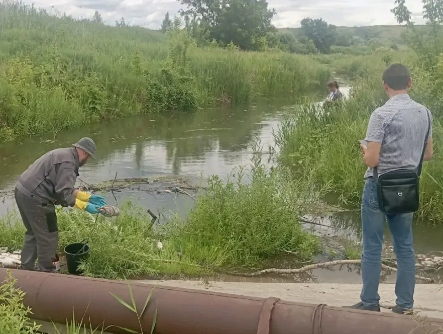 🌊 На реке Кутулук взяты пробы воды

16 июня экологический надзор Богатовского района зафиксировал м