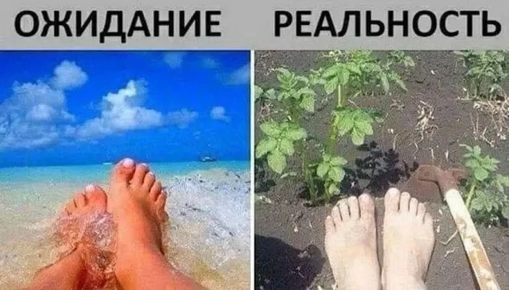 Доброе утро!

До праздничных выходных — 1 рабочий день.
Р-р-работаем, товарищи!