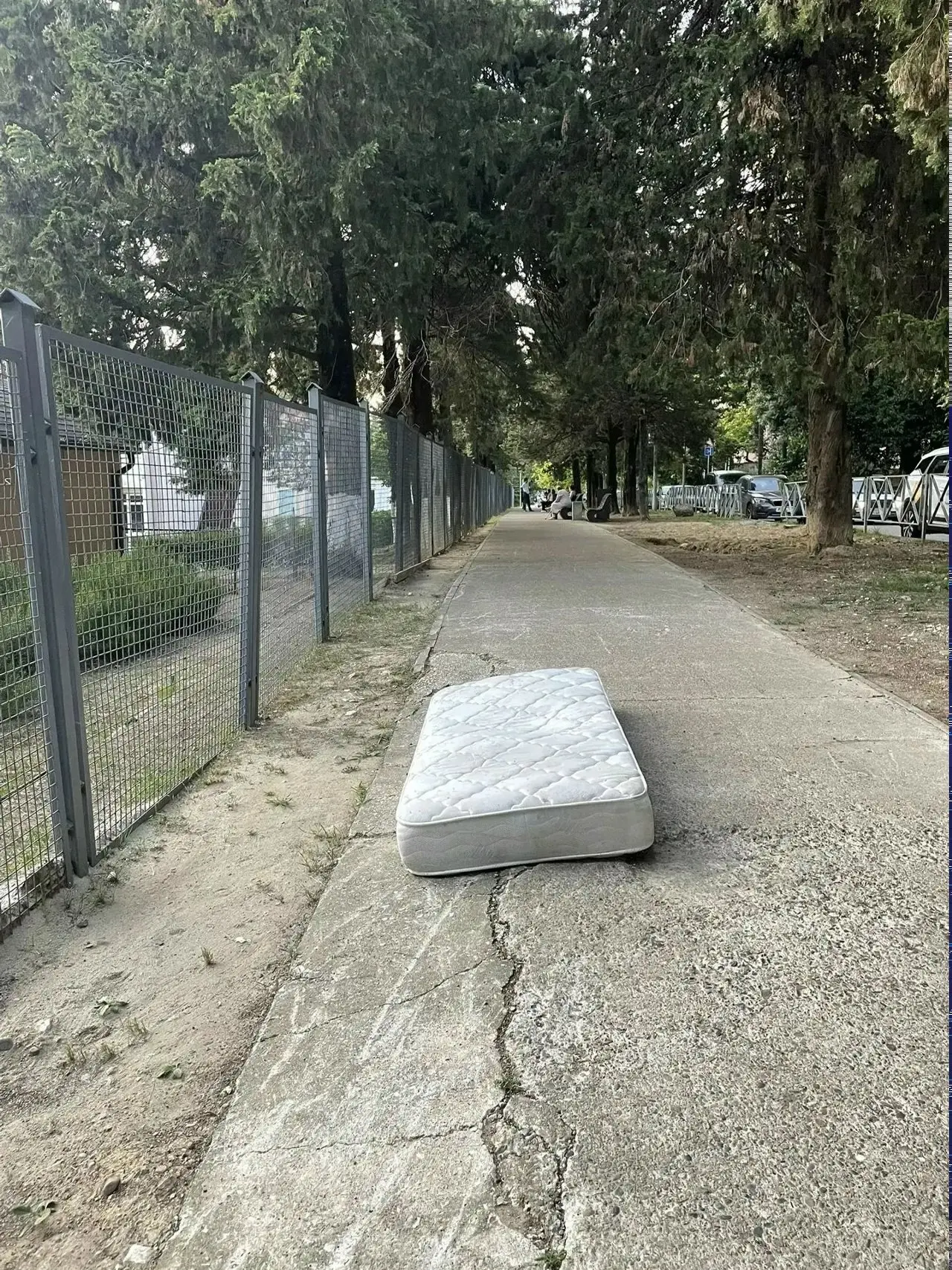 ⚠️ В Адлере яму посреди сквера «отремонтировали» матрасом.

Жители Голубых Далей бьют тревогу: возле