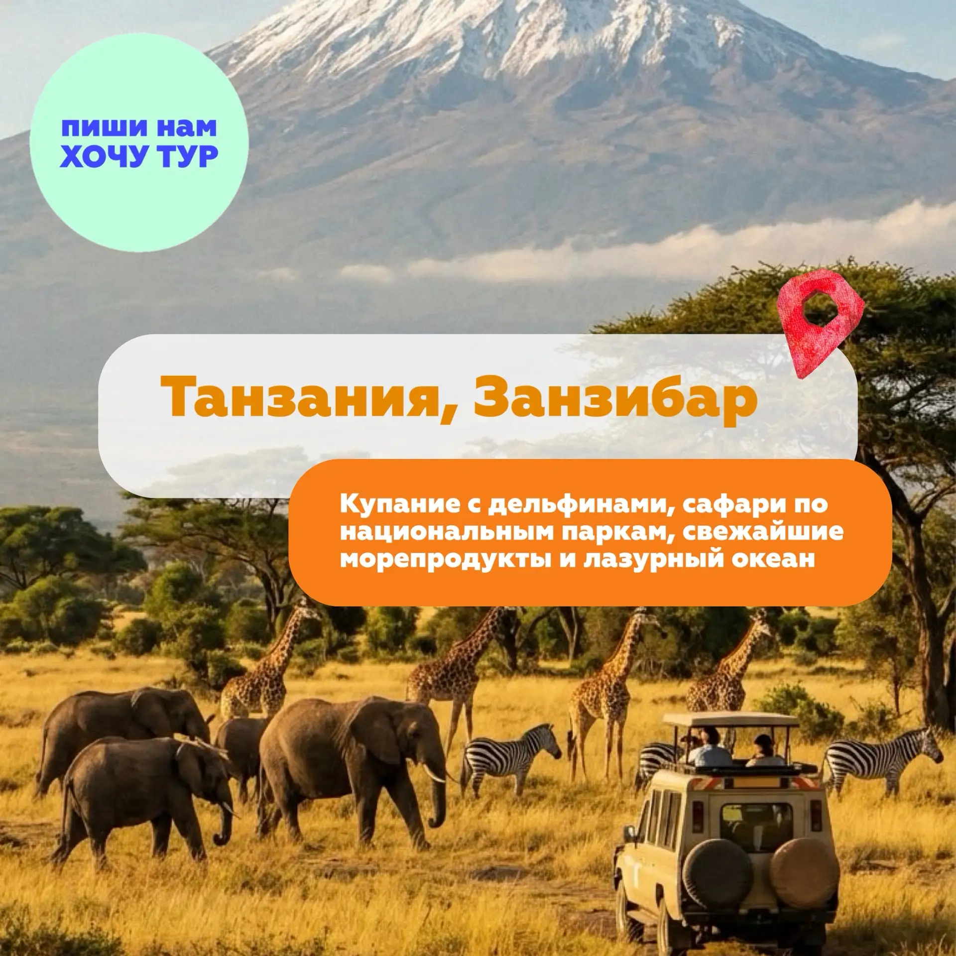 🌴🦓 ТАНЗАНИЯ, ЗАНЗИБАР