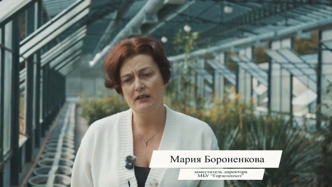 💐 Осенние краски Симферополя: город украсят около пяти тысяч хризантем