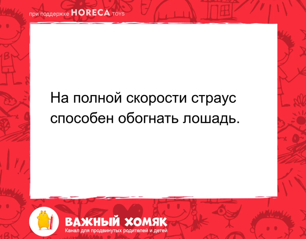 #интересныефакты #детииродители #семья #наука #длядетей

Подписаться на канал «Важный хомяк».
