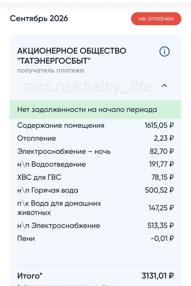 Челнинцы в шоке: в платёжке — «Вода для домашних животных»! 🐾💦
