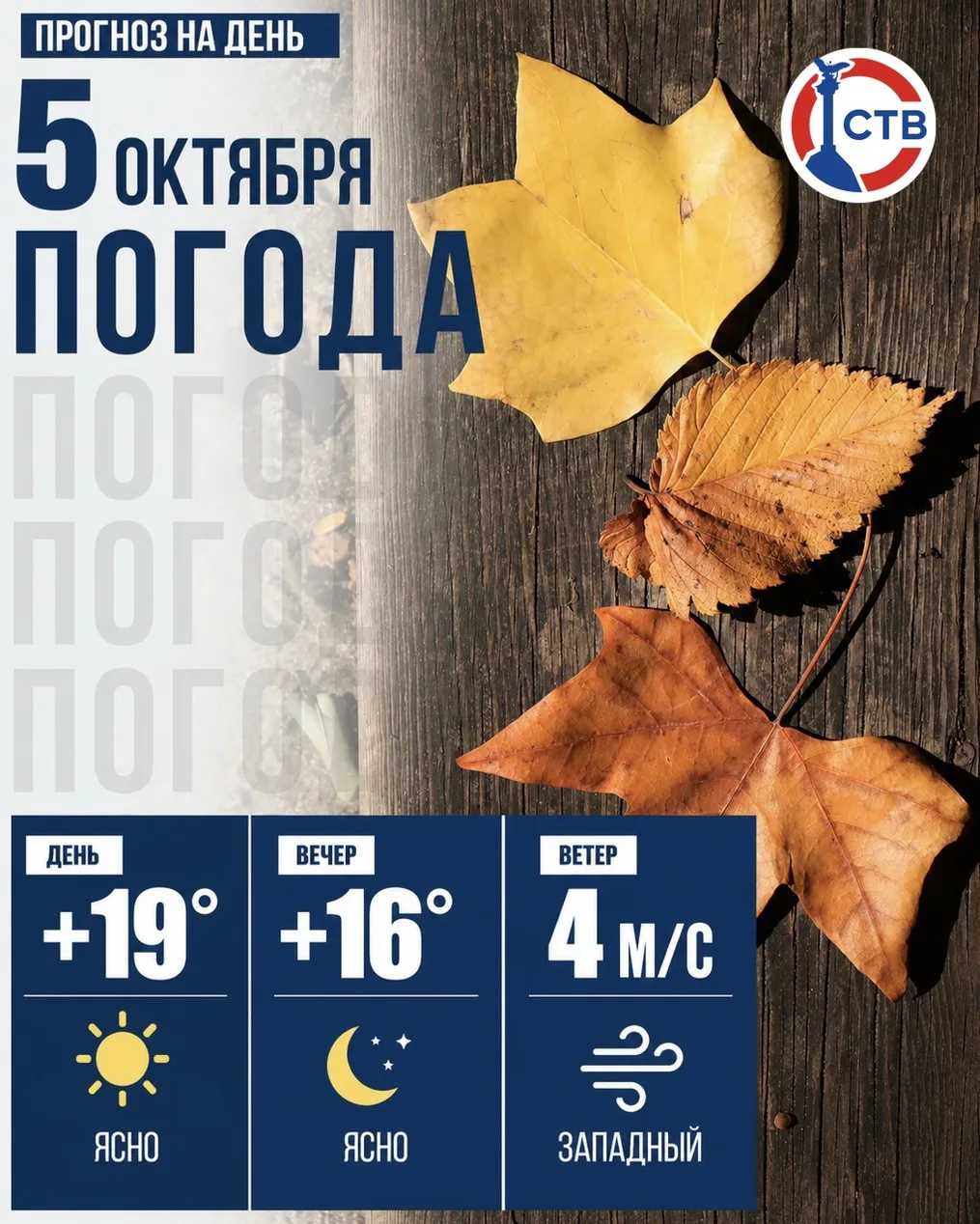 Сегодня в Севастополе ожидается теплая и солнечная погода. Температура воздуха поднимет...