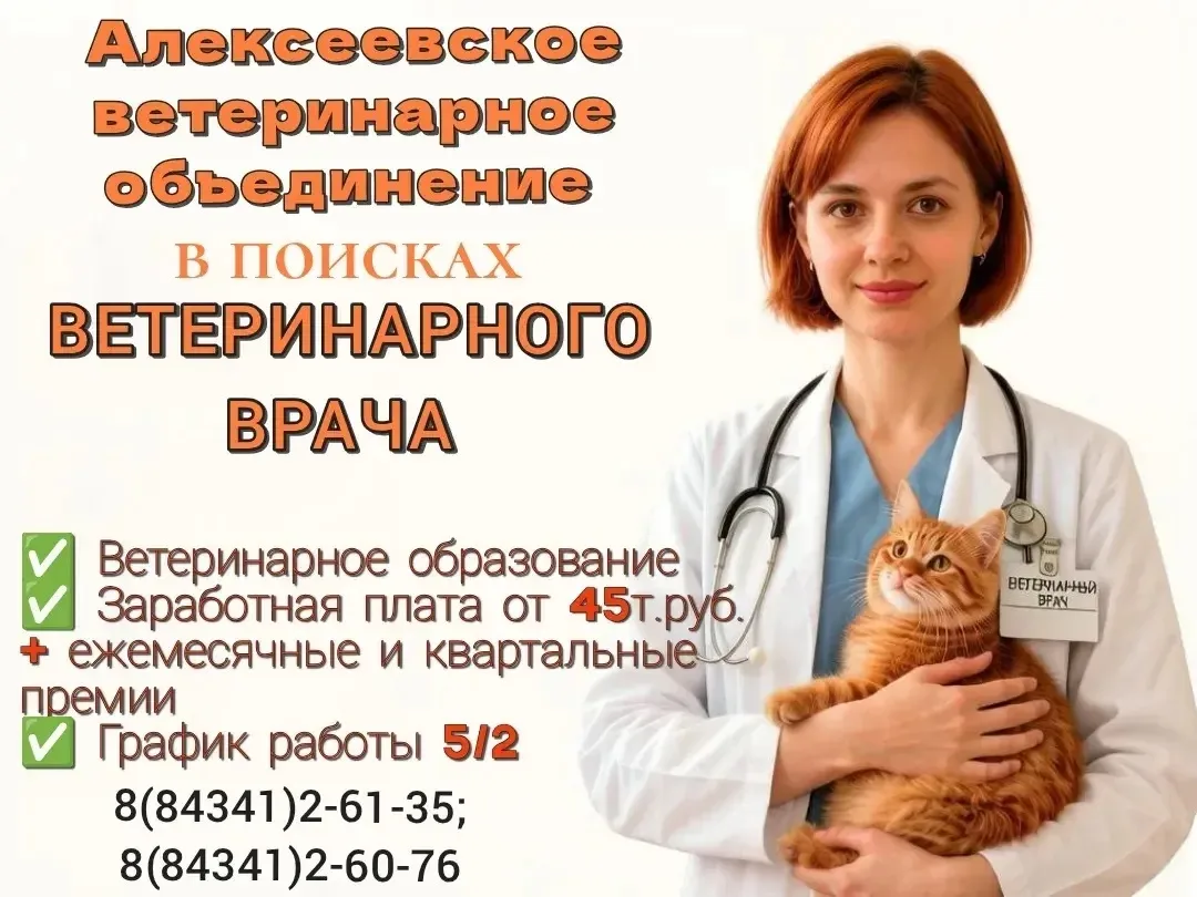 Внимание! Открыта вакансия!