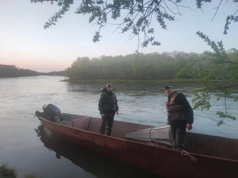 🐟 Учёные считают горбушу-малышку на западных реках Камчатки

По ночам специалисты КамчатНИРО ловят 