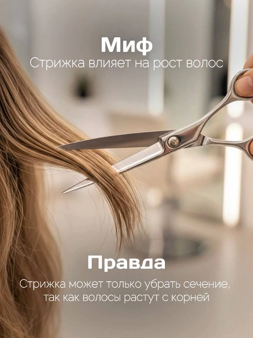 Мифы о волосах, в которые всё ещё верят (а зря)  Собрали 4 популярных мифа — и коротко объясняем, ка