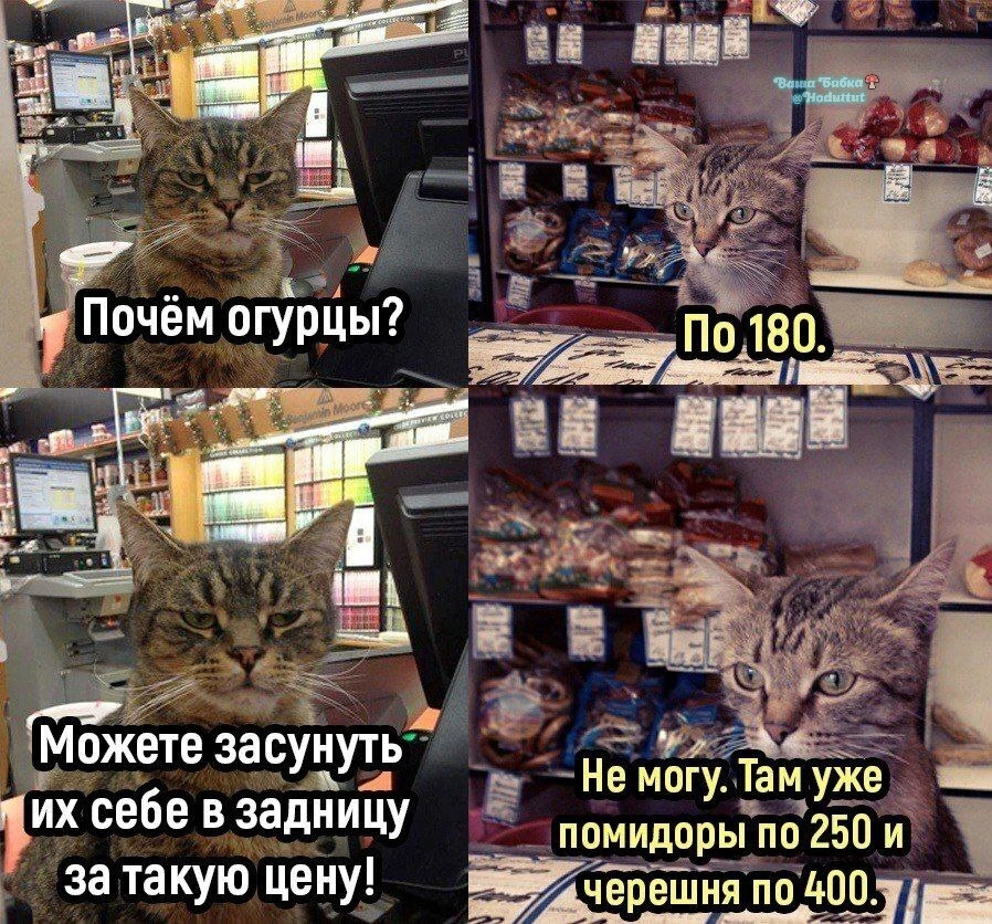 И абрикосы по 300...