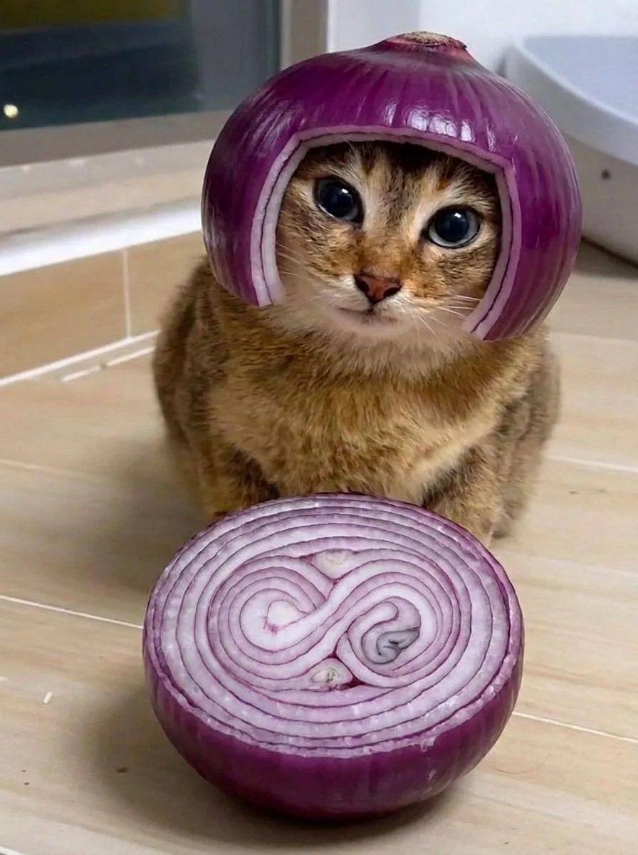 Смотрите, какую луковицу нашли 👀