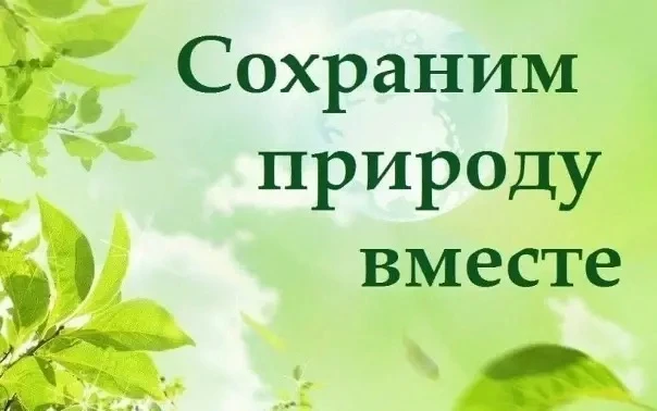 🌿 Экологическое воспитание начинается в семье
