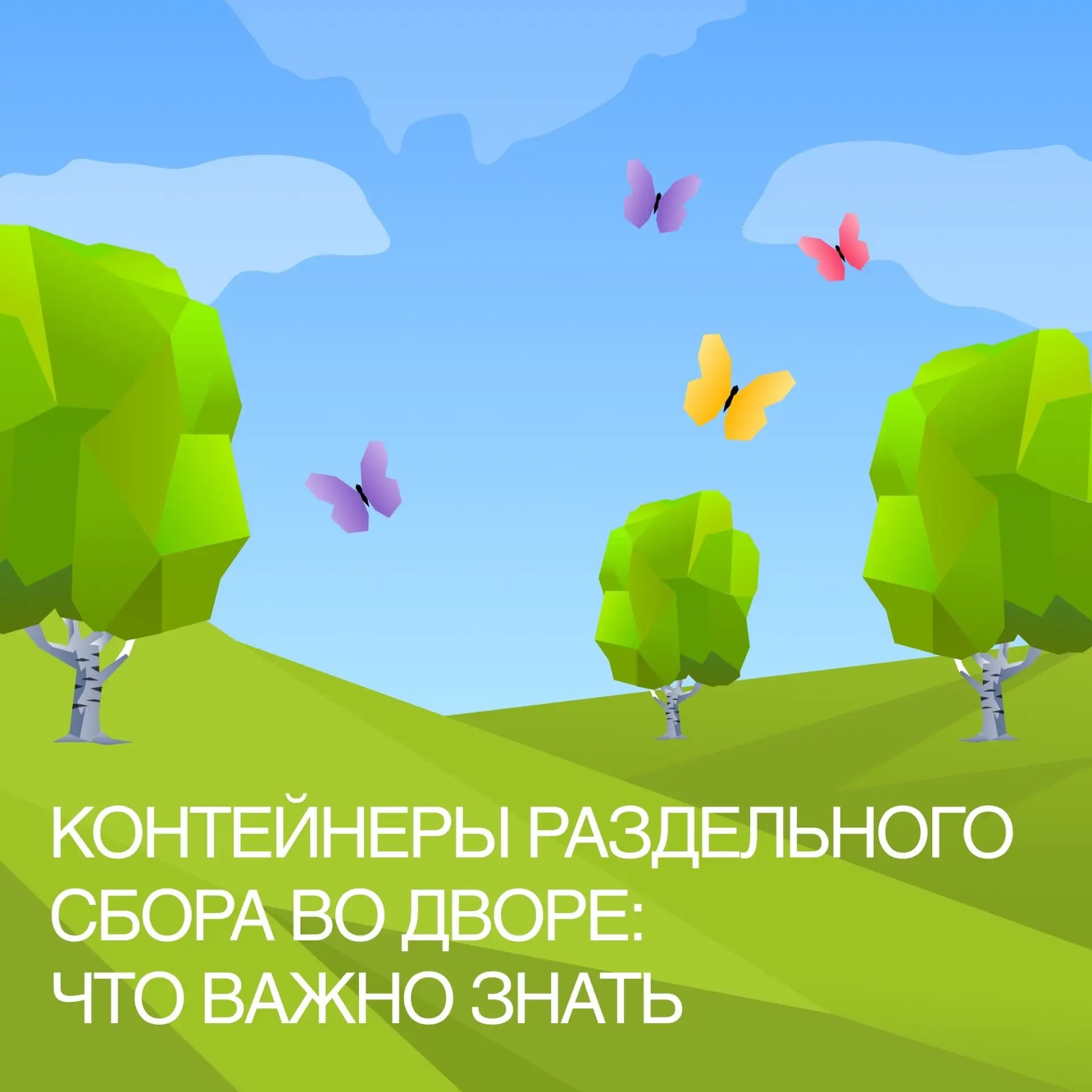 Мечтаете, чтобы во дворе наконец появились контейнеры для пластика, стекла и бумаги, но...