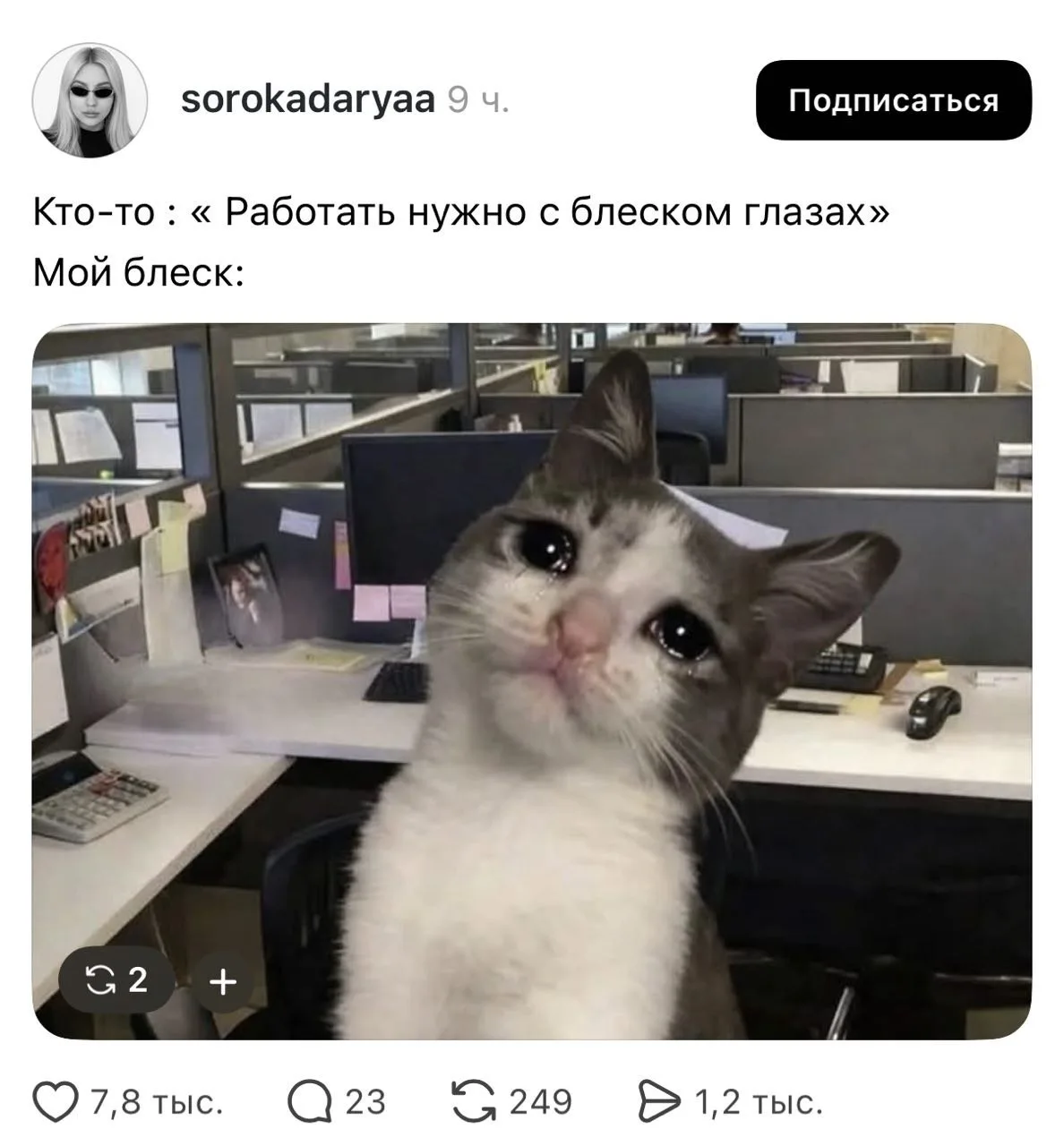 Мы?