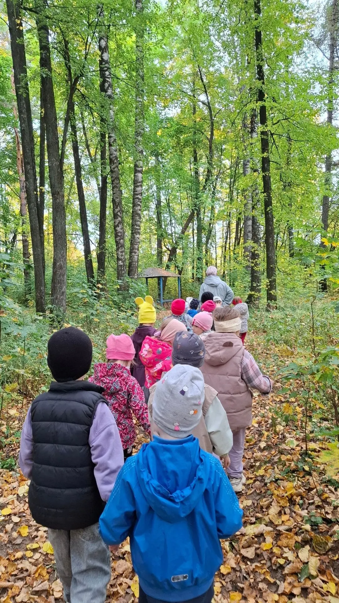 Осенний шорох🍁🍂