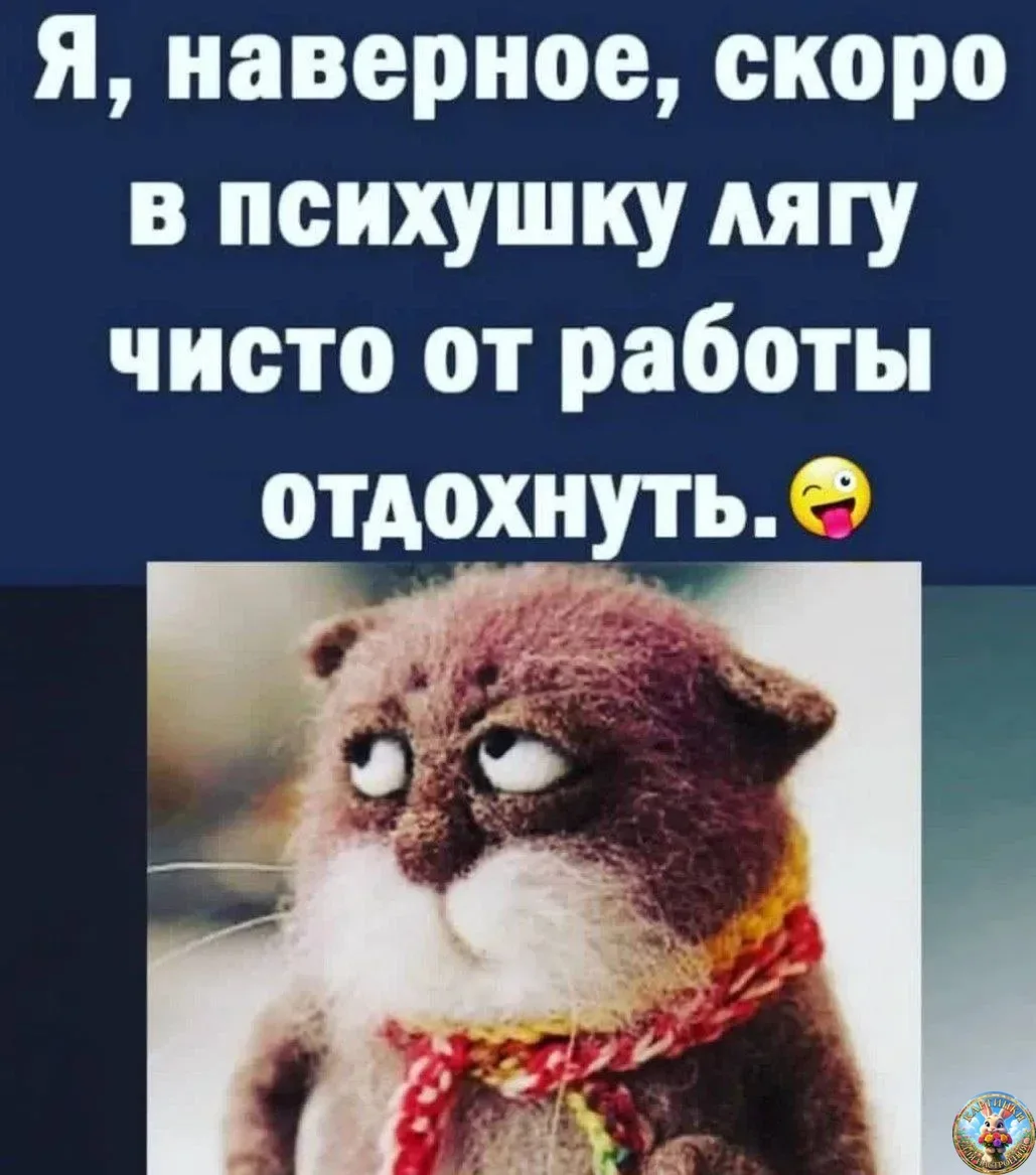 Картинки для настроения😊 | Юмор