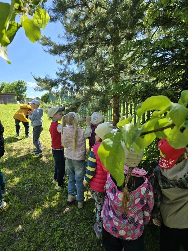 #ЛетоСПользой35
‎#ГодДошкольногоОбразования
‎#ГДОВологодскаяОбласть
‎#ГДОНикольскийОкруг

✅ Новости 