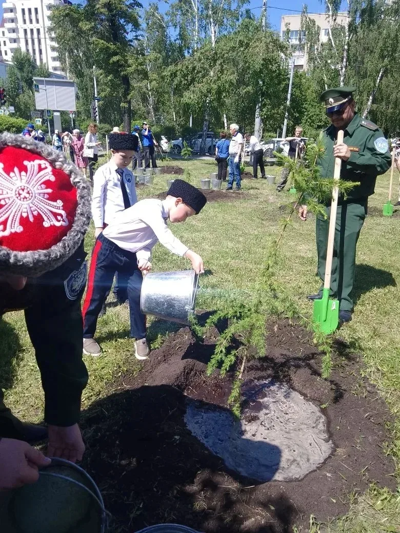 Наша школа на аллее трудовой доблести