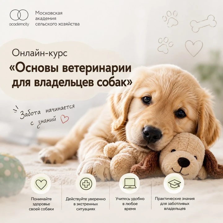 Любите свою собаку и хотите быть уверены, что всегда сможете защитить её здоровье? 🐶