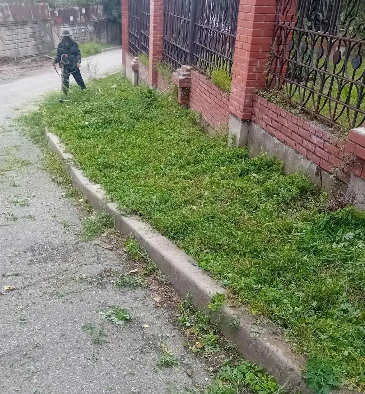 Комитетом по управлению Кировским районом организованы работы по покосу травы и уборке ...