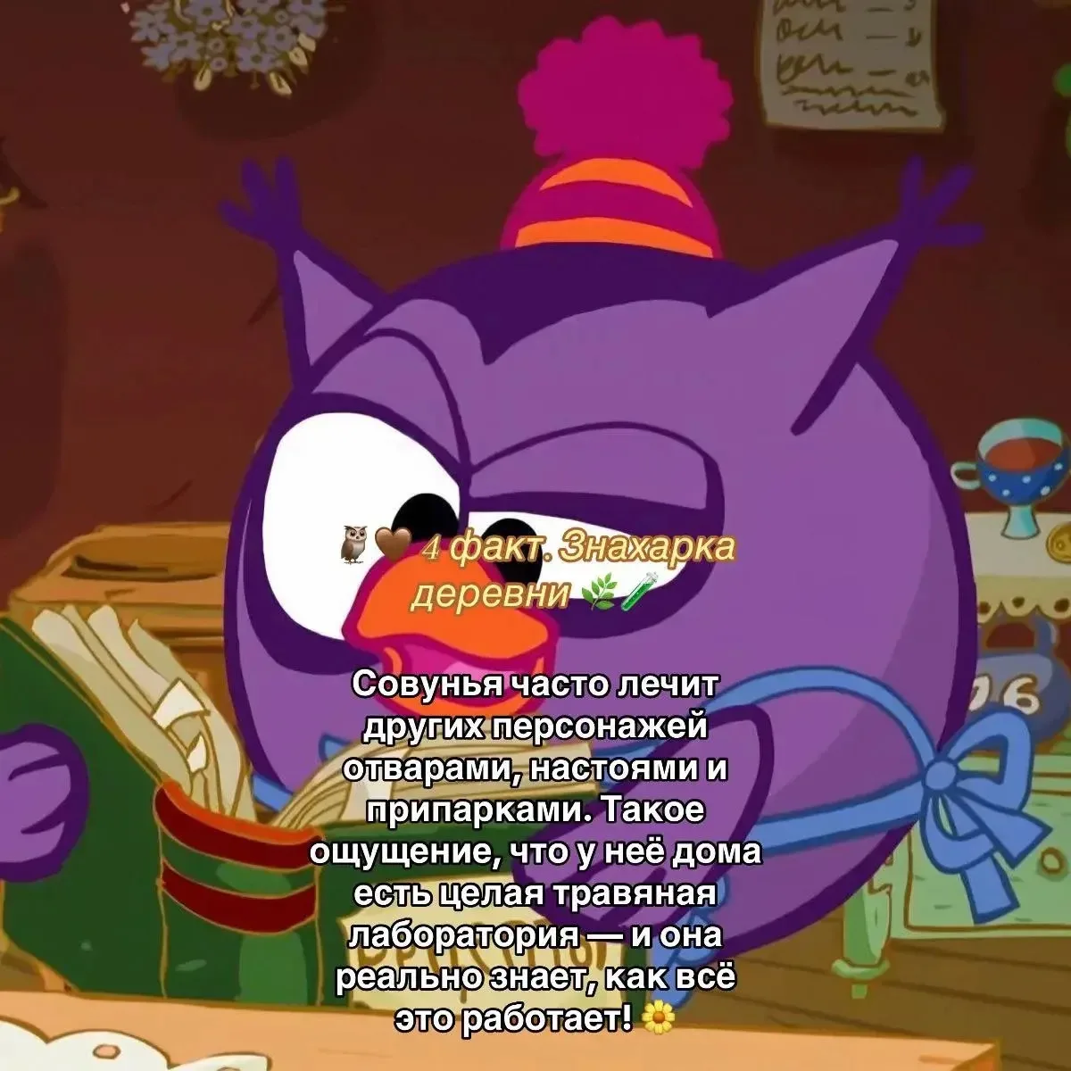 Факт про Совунью