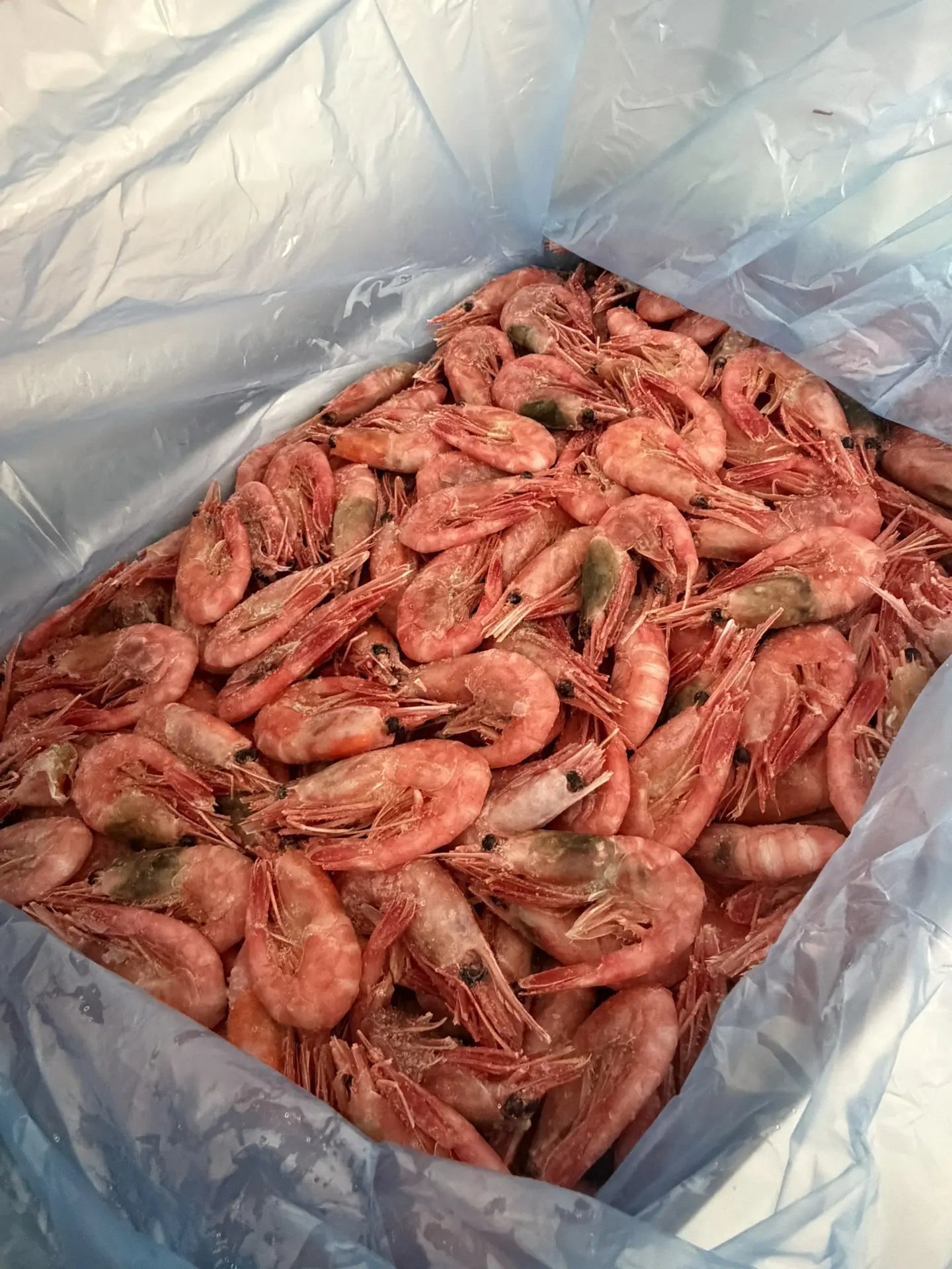 Спасибо большое за креветки 🦐