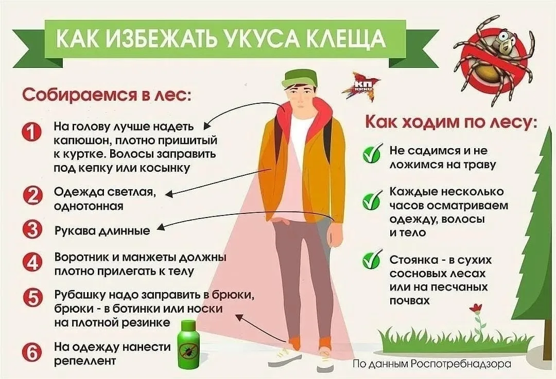 📌📌📌Осторожно ⚠️ КЛЕЩИ 🪲🪲🪲