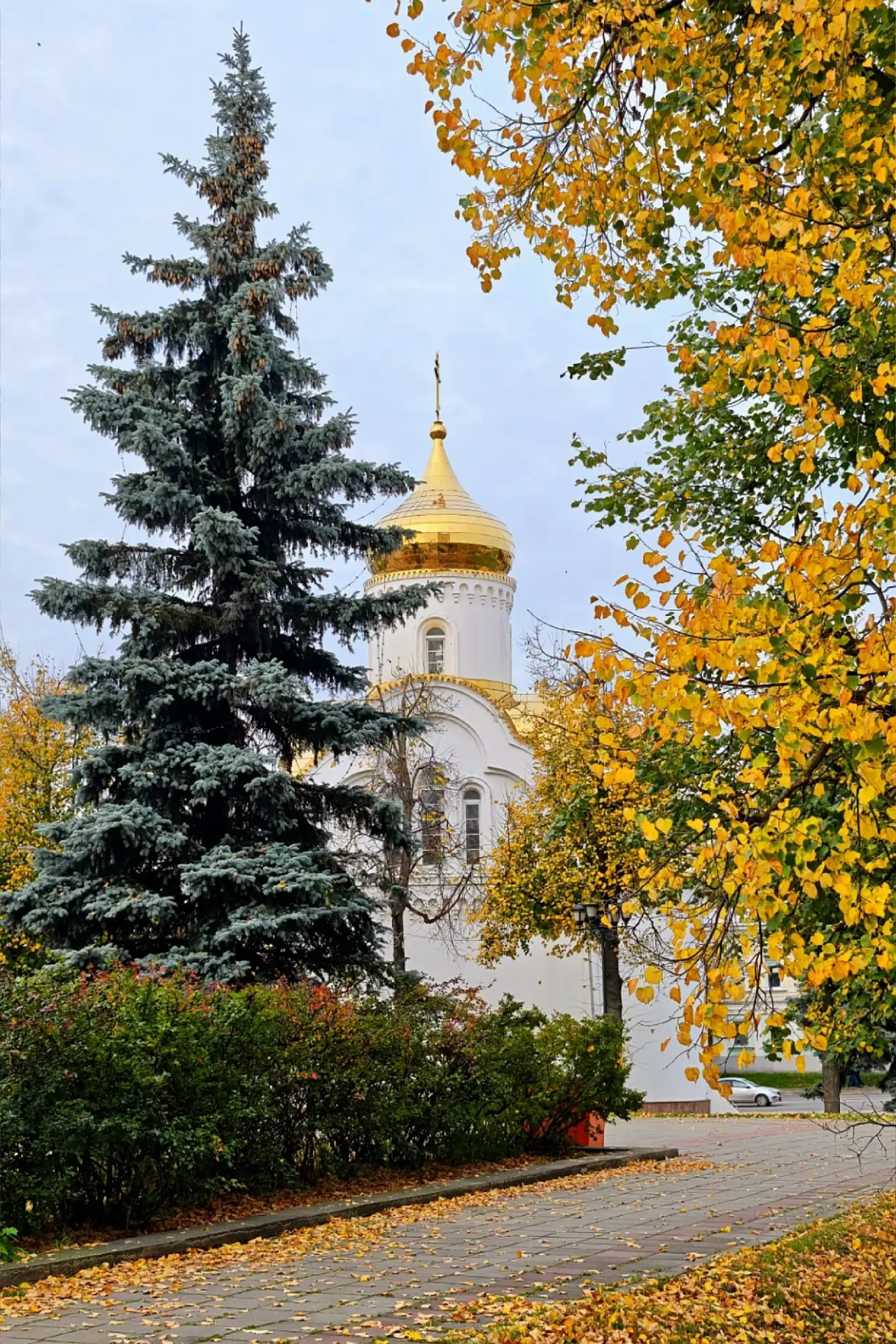 Площадь Революции в осеннем убранстве. #Иваново, 2026 🍂🍁