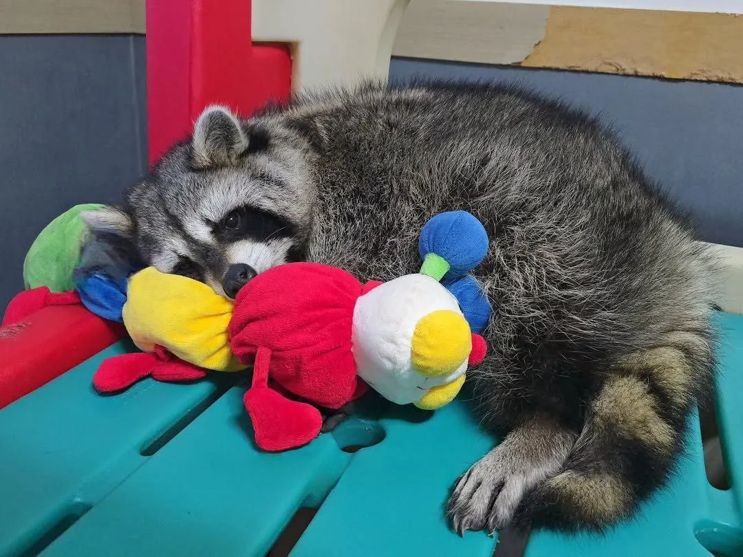 🌜Доброй ночи, дорогие подписчики! Доброй ночи, Запорожье!😴

Запорожская область
🌦 + 13°...  + 24°