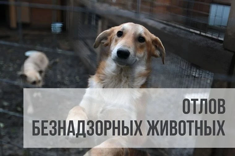 📌 Орехово-Зуевский городской округ Московской области активно реализует программу «Отл...