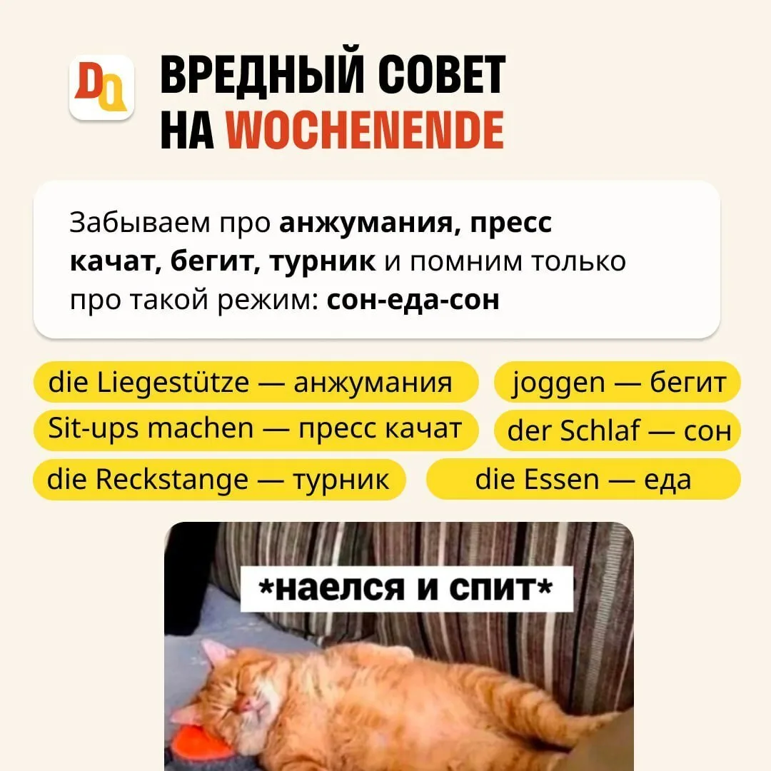 🌞 Говорим о майских:   das Wochenende — выходные das Picknick — пикник picknicken — устроить пикник 