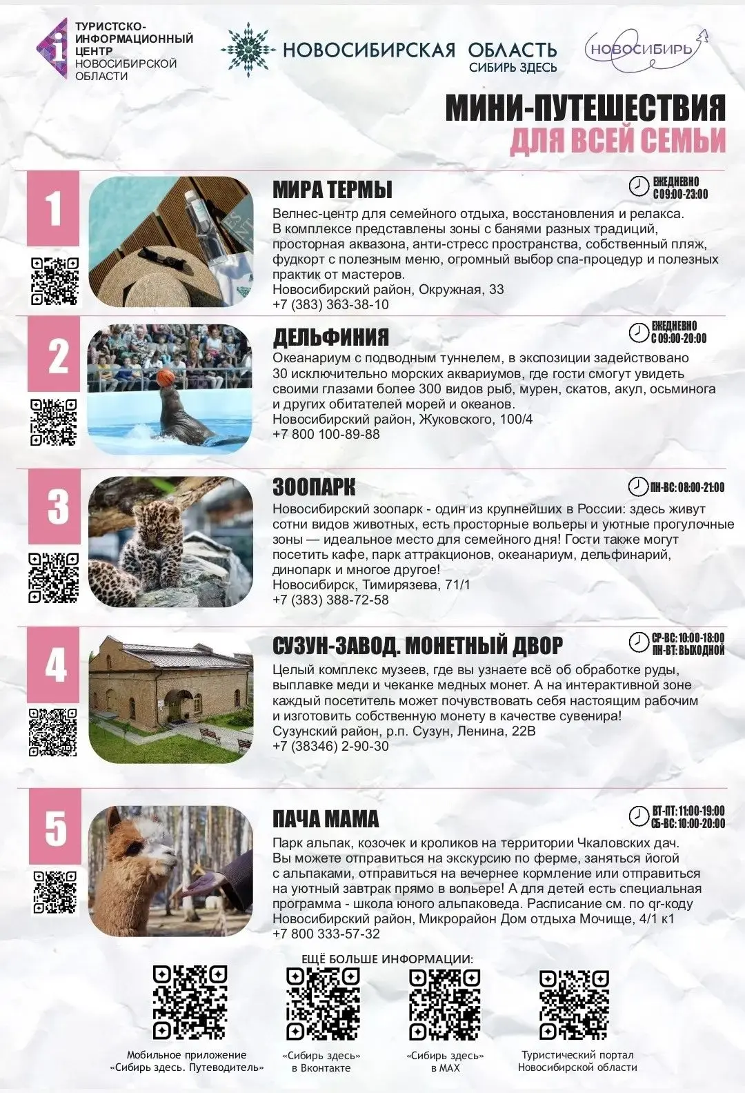 Лето не сдаётся! Чем заняться в Новосибирской области в грядущие выходные? 🌞